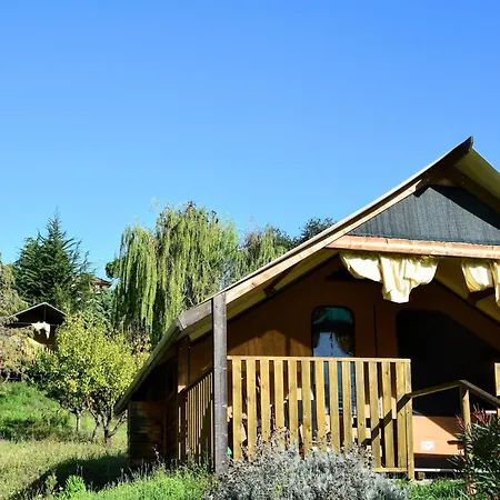 Luxury Tent On A Farm With Swimming Pool Glamping *
