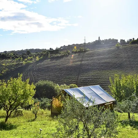 Campo de lujo Luxury Tent On A Farm With Swimming Pool